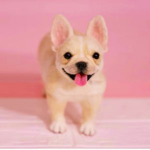 3D pet portrait custom made
