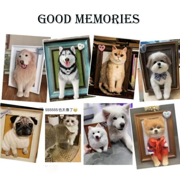 3D pet portrait photo frame custom made - 图片 4