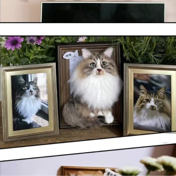 3D pet portrait photo frame custom made - 图片 3