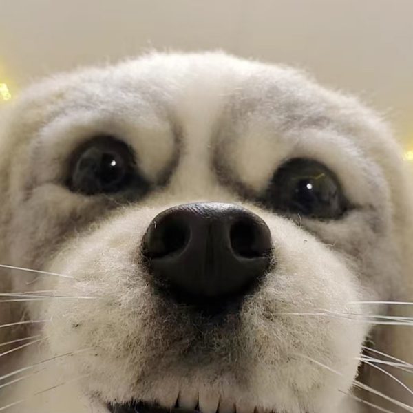 3D pet portrait custom made - 图片 6