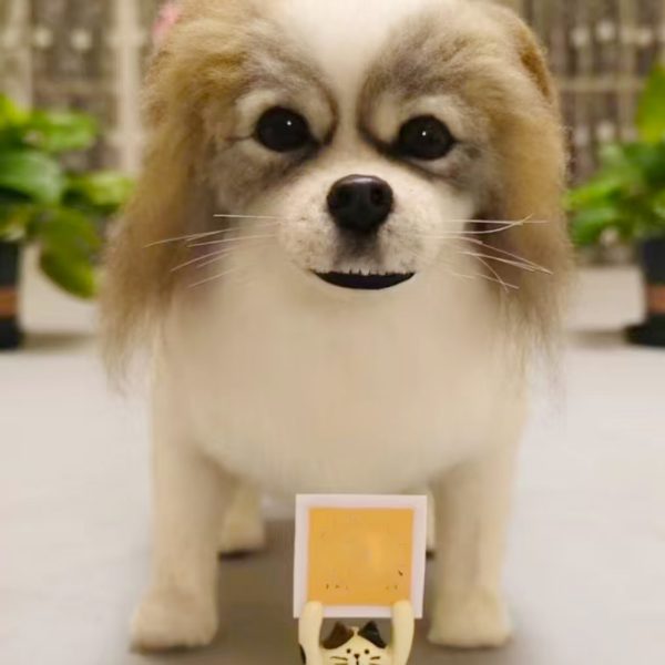 3D pet portrait custom made - 图片 3