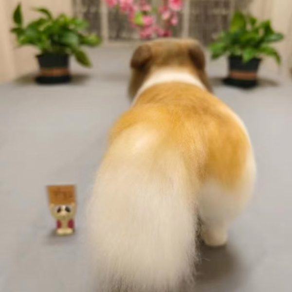 3D pet portrait custom made - 图片 2